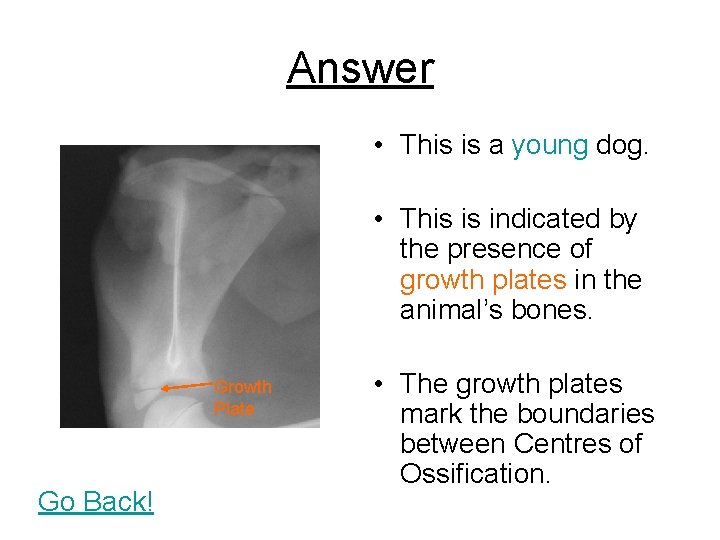 Answer • This is a young dog. • This is indicated by the presence