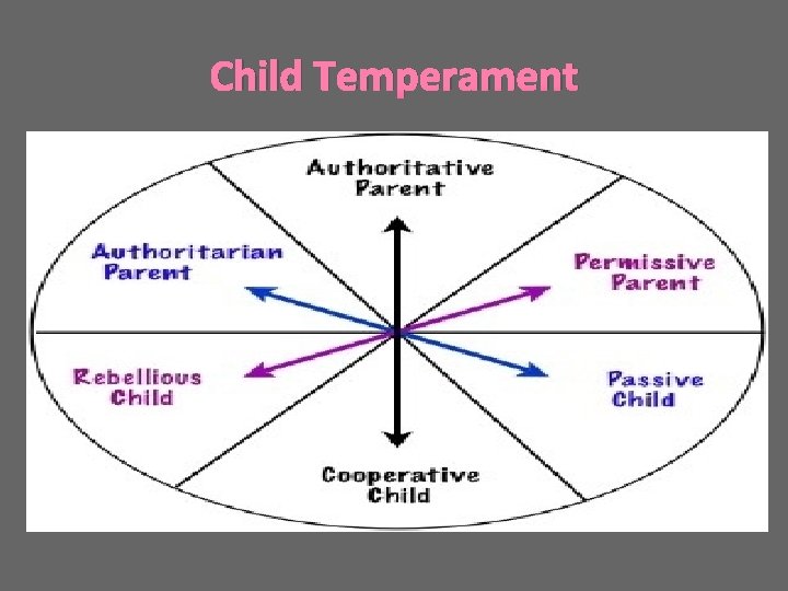 Child Temperament 
