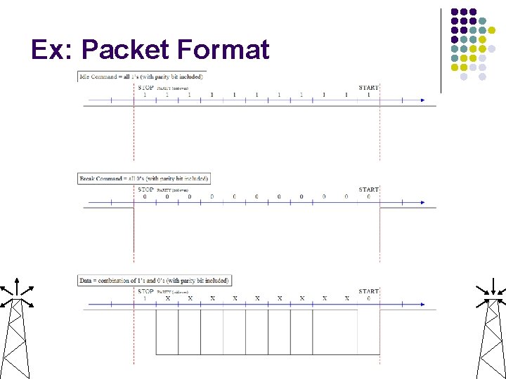 Ex: Packet Format 