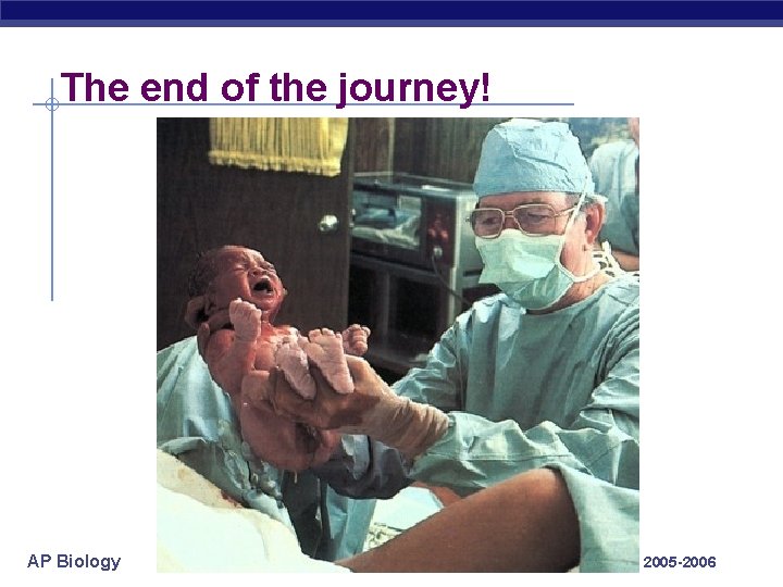 The end of the journey! AP Biology 2005 -2006 