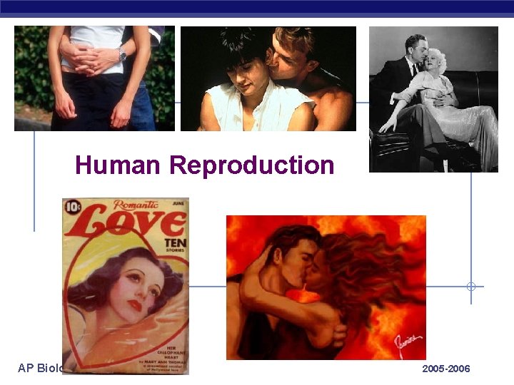 Human Reproduction AP Biology 2005 -2006 