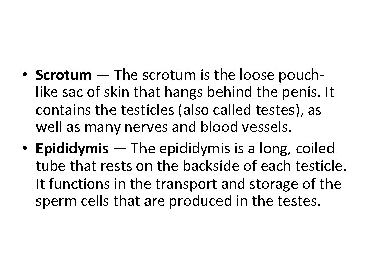  • Scrotum — The scrotum is the loose pouchlike sac of skin that