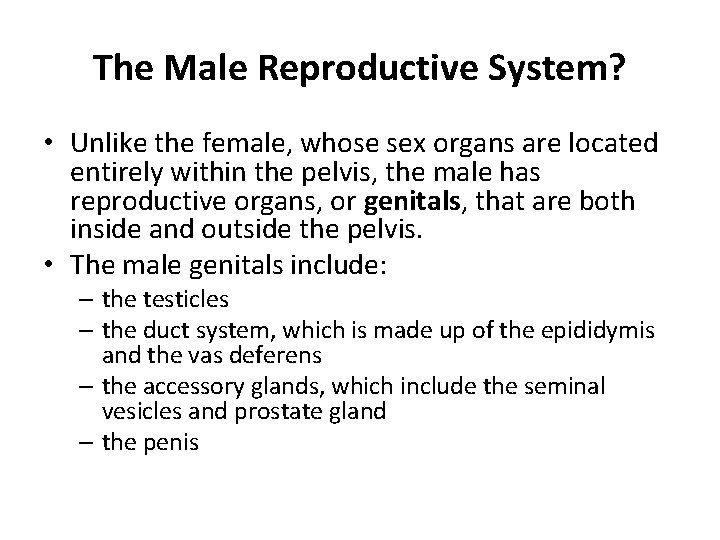 The Male Reproductive System? • Unlike the female, whose sex organs are located entirely