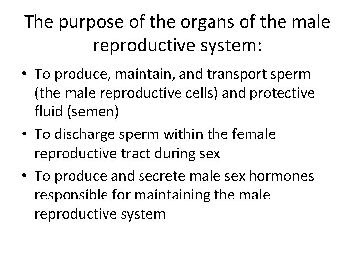 The purpose of the organs of the male reproductive system: • To produce, maintain,