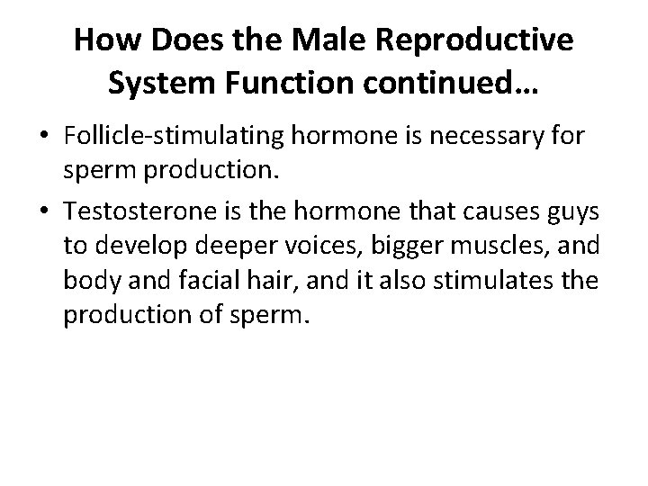 How Does the Male Reproductive System Function continued… • Follicle-stimulating hormone is necessary for