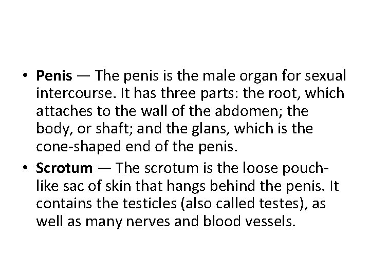  • Penis — The penis is the male organ for sexual intercourse. It