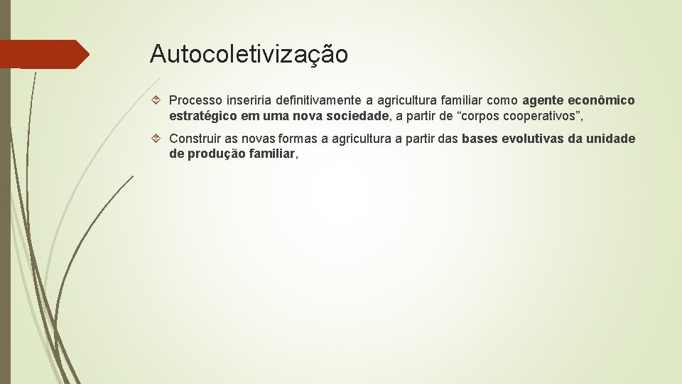 Autocoletivização Processo inseriria definitivamente a agricultura familiar como agente econômico estratégico em uma nova