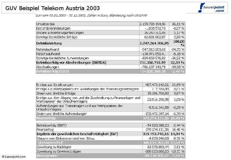 GUV Beispiel Telekom Austria 2003 © bauerpoint. com 