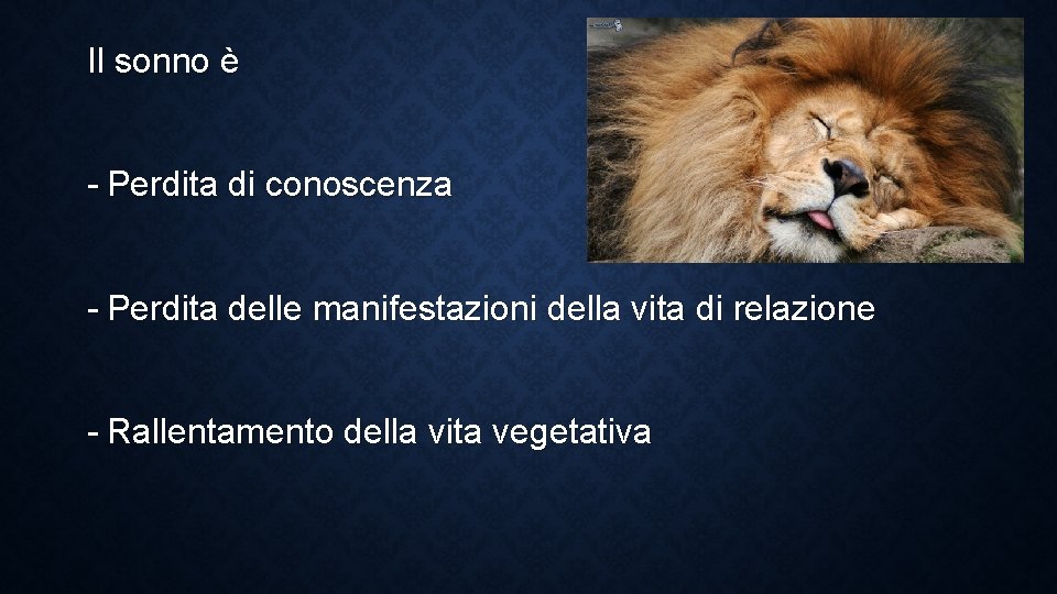 Il sonno è - Perdita di conoscenza - Perdita delle manifestazioni della vita di