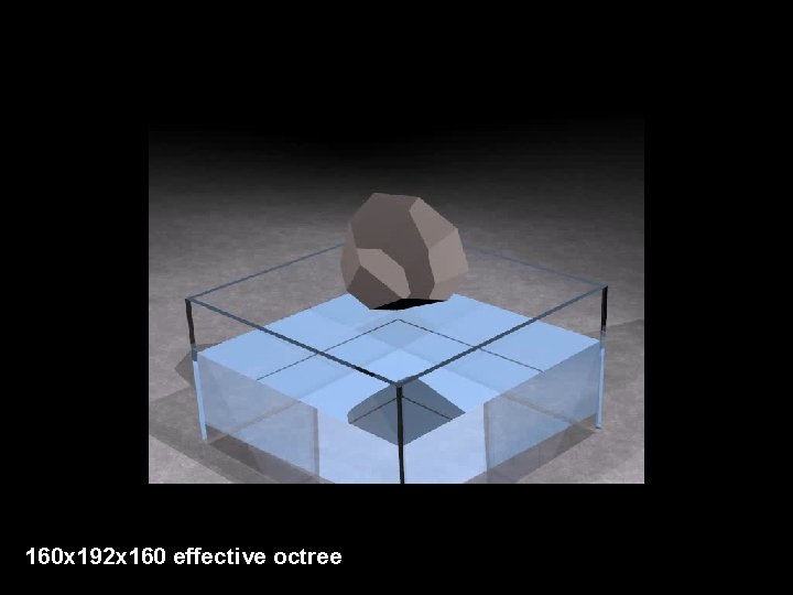 160 x 192 x 160 effective octree 