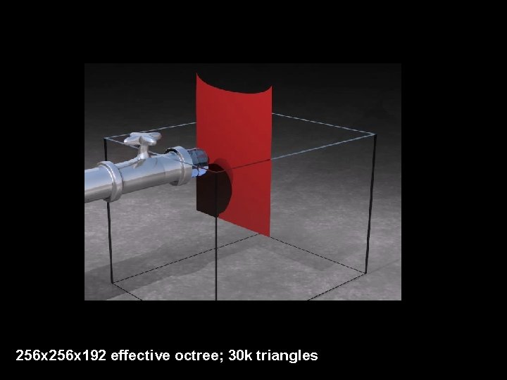 256 x 192 effective octree; 30 k triangles 