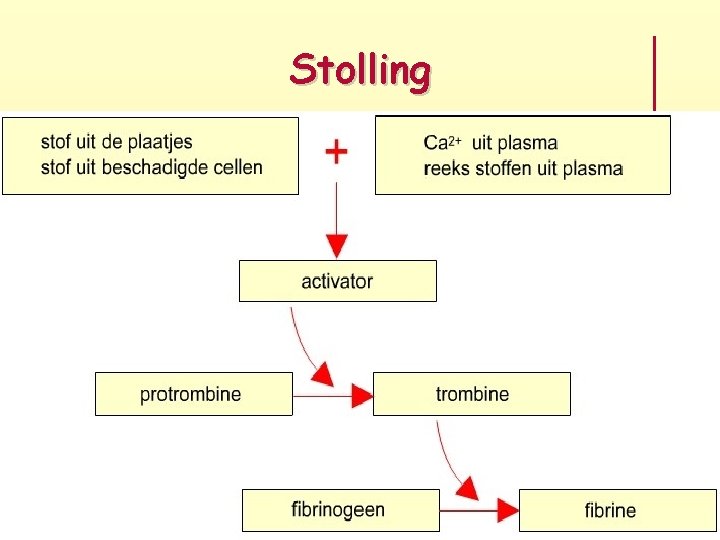 Stolling 