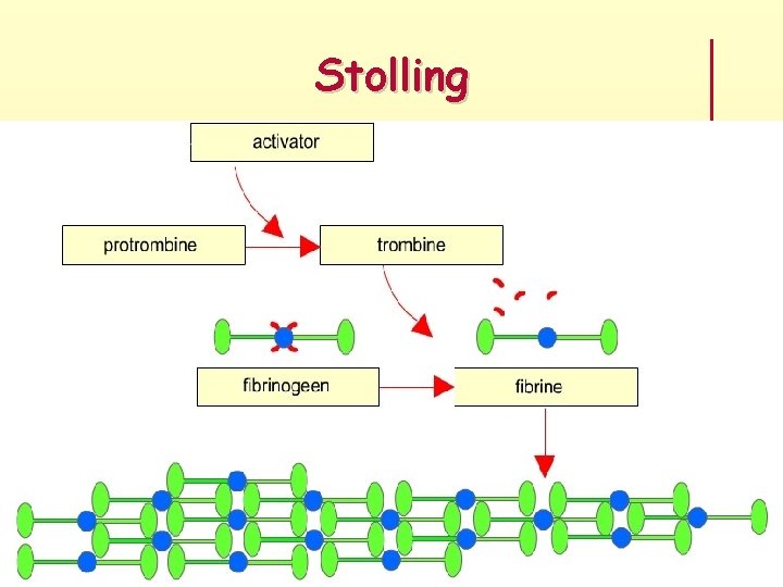 Stolling 