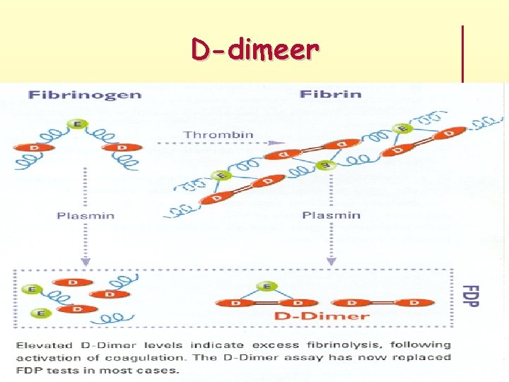 D-dimeer 