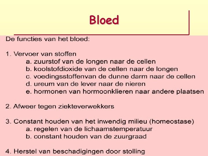Bloed 