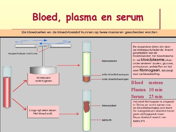 Bloed, plasma en serum Bloed meteen Plasma 10 min Serum 25 min 