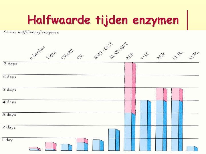 Halfwaarde tijden enzymen 