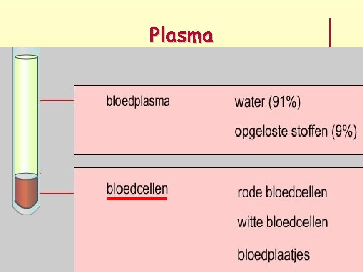 Plasma 