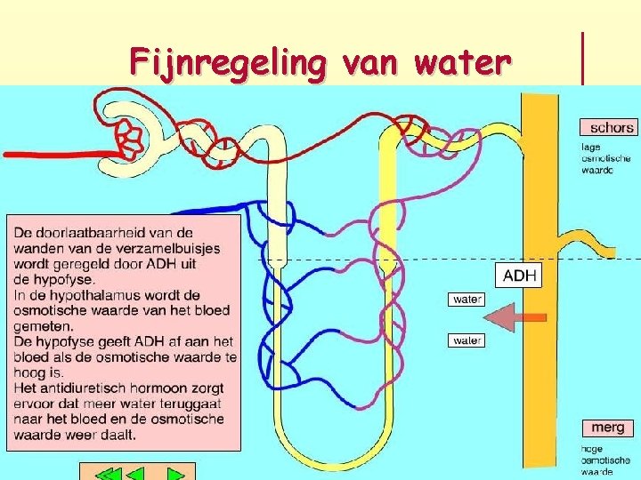 Fijnregeling van water 