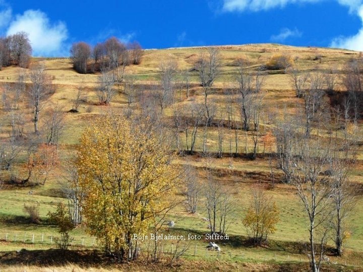 Boje Bjelašnice; foto: Siffredi 