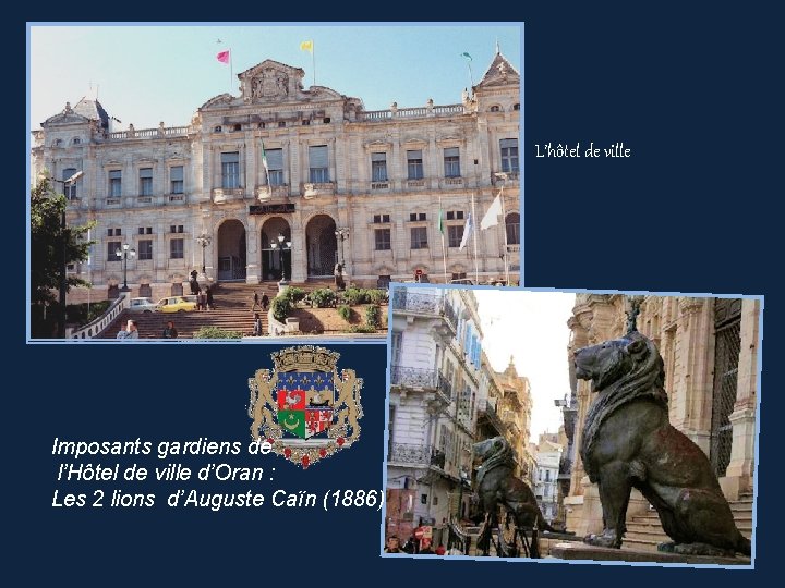 L’hôtel de ville Imposants gardiens de l’Hôtel de ville d’Oran : Les 2 lions