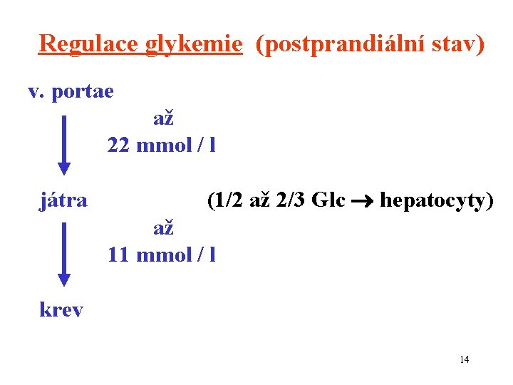 Regulace glykemie (postprandiální stav) v. portae až 22 mmol / l játra (1/2 až