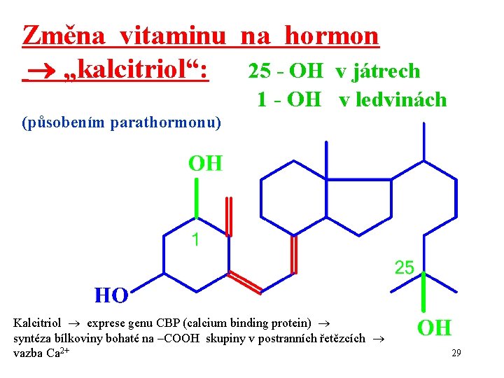 Změna vitaminu na hormon „kalcitriol“: 25 - OH v játrech 1 - OH v