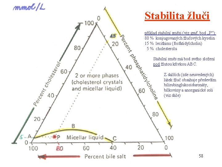 Stabilita žluči příklad stabilní směsi (viz graf, bod „P“): 80 % konjugovaných žlučových kyselin