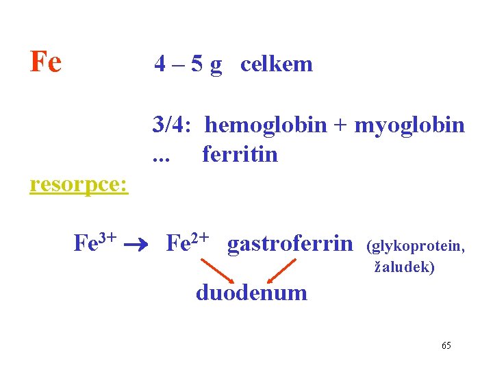 Fe 4 – 5 g celkem 3/4: hemoglobin + myoglobin. . . ferritin resorpce: