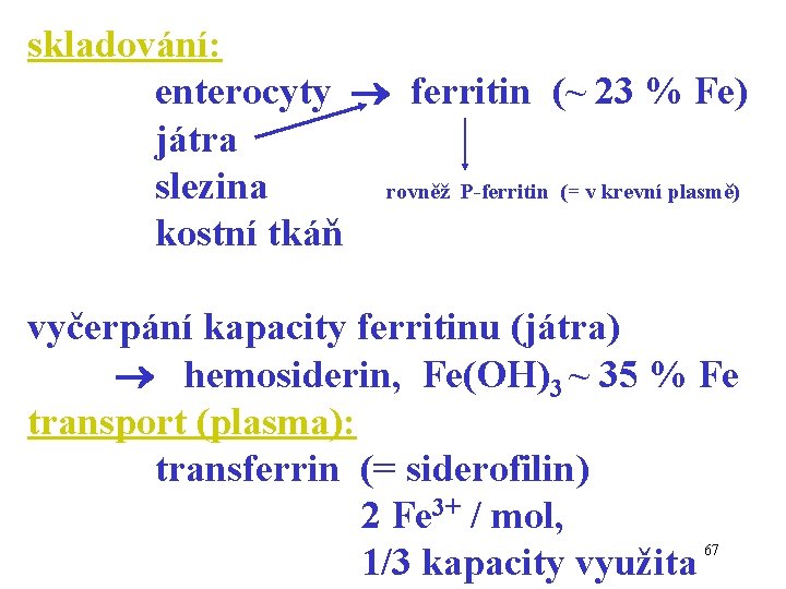 skladování: enterocyty ferritin (~ 23 % Fe) játra slezina rovněž P-ferritin (= v krevní