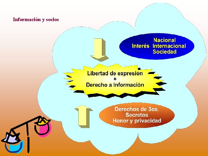 Información y socios 