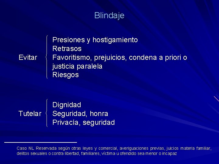 Blindaje Evitar Presiones y hostigamiento Retrasos Favoritismo, prejuicios, condena a priori o justicia paralela