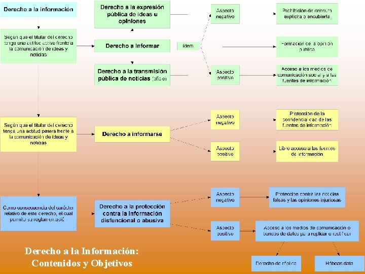 Derecho a la Información: Contenidos y Objetivos 