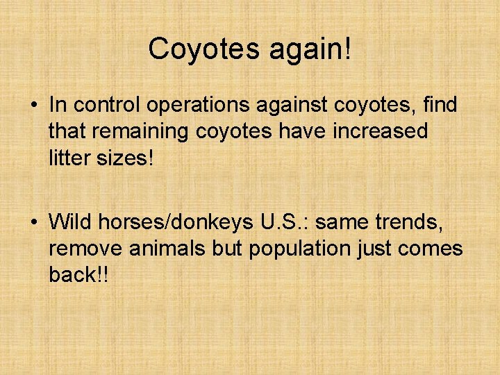 Coyotes again! • In control operations against coyotes, find that remaining coyotes have increased