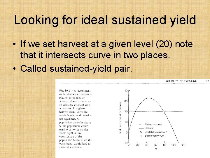 Looking for ideal sustained yield • If we set harvest at a given level