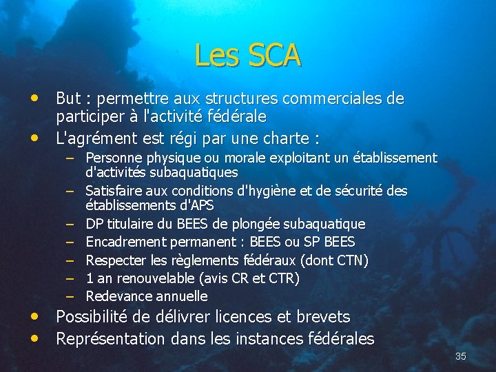 Les SCA • But : permettre aux structures commerciales de • participer à l'activité