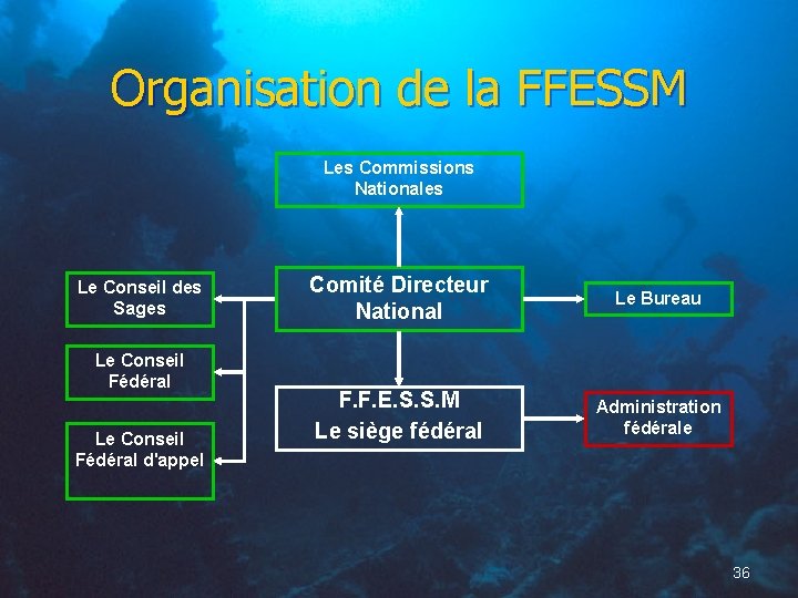 Organisation de la FFESSM Les Commissions Nationales Le Conseil des Sages Le Conseil Fédéral