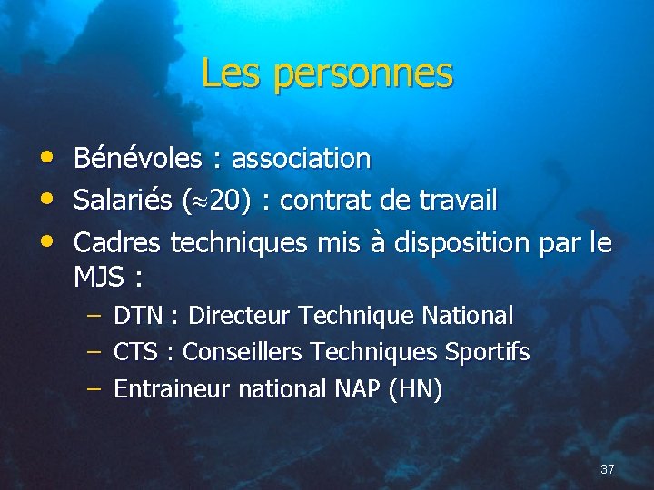 Les personnes • • • Bénévoles : association Salariés ( 20) : contrat de