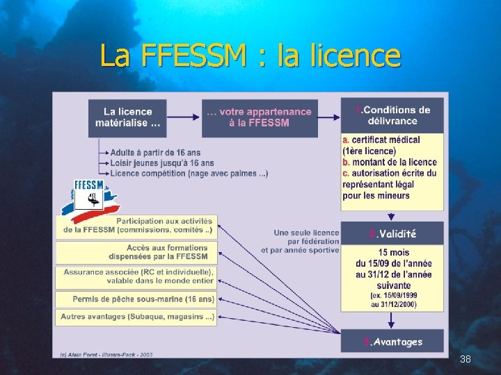 La FFESSM : la licence 38 