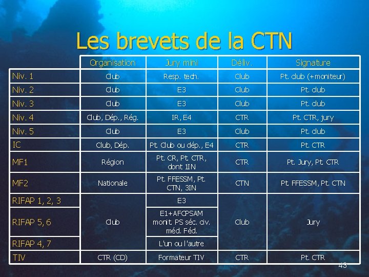 Les brevets de la CTN Organisation Jury mini Déliv. Signature Niv. 1 Club Resp.