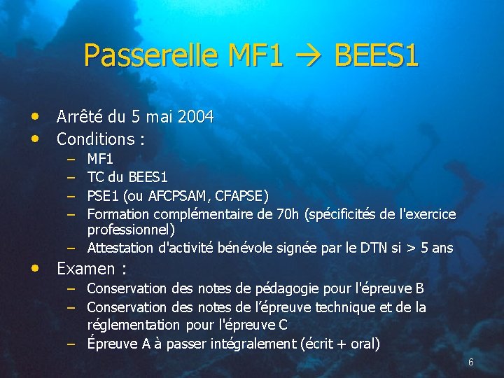 Passerelle MF 1 BEES 1 • Arrêté du 5 mai 2004 • Conditions :