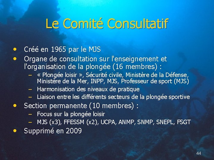 Le Comité Consultatif • Créé en 1965 par le MJS • Organe de consultation