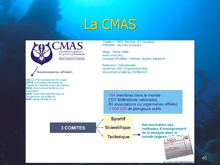 La CMAS 45 