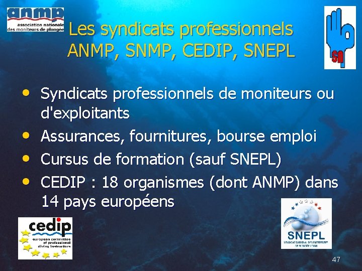 Les syndicats professionnels ANMP, SNMP, CEDIP, SNEPL • Syndicats professionnels de moniteurs ou •