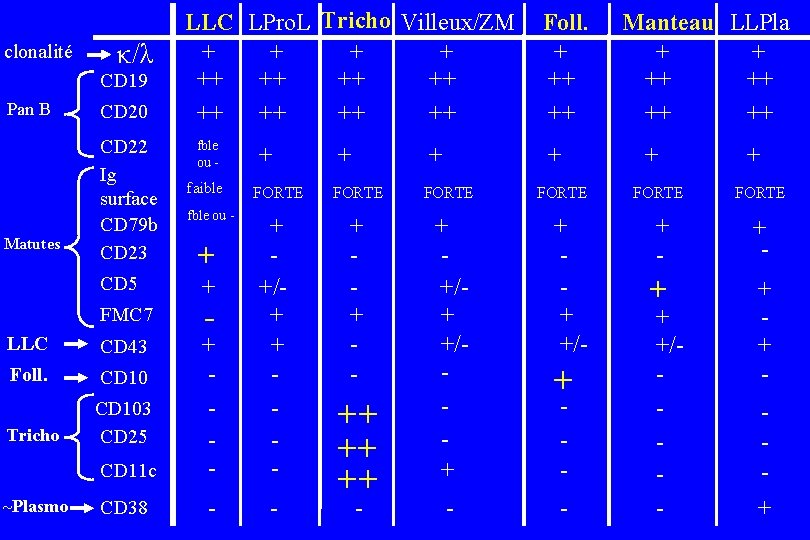 clonalité κ/λ CD 19 Pan B Matutes CD 20 CD 22 Ig surface CD