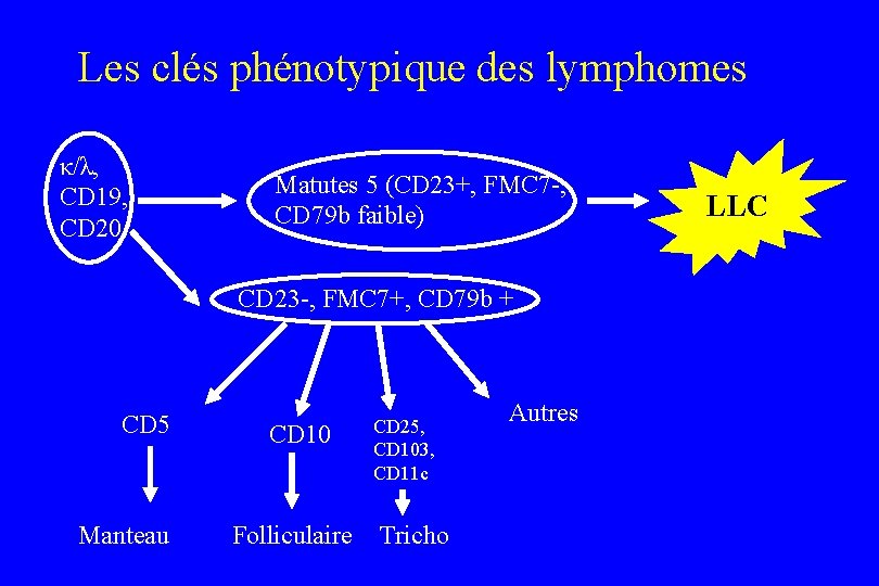 Les clés phénotypique des lymphomes κ/λ, CD 19, CD 20 Matutes 5 (CD 23+,