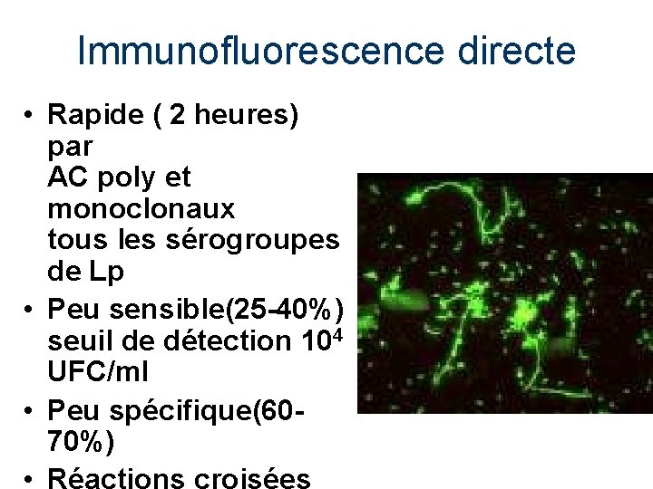 Immunofluorescence directe • Rapide ( 2 heures) par AC poly et monoclonaux tous les