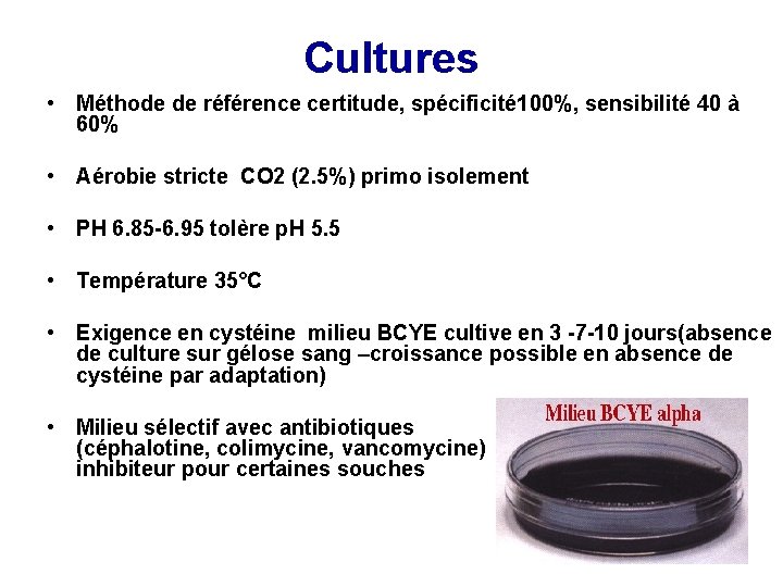 Cultures • Méthode de référence certitude, spécificité 100%, sensibilité 40 à 60% • Aérobie