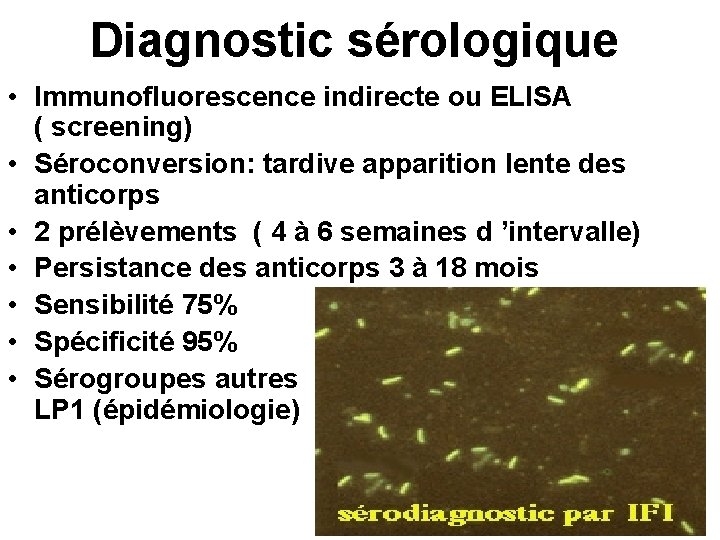 Diagnostic sérologique • Immunofluorescence indirecte ou ELISA ( screening) • Séroconversion: tardive apparition lente