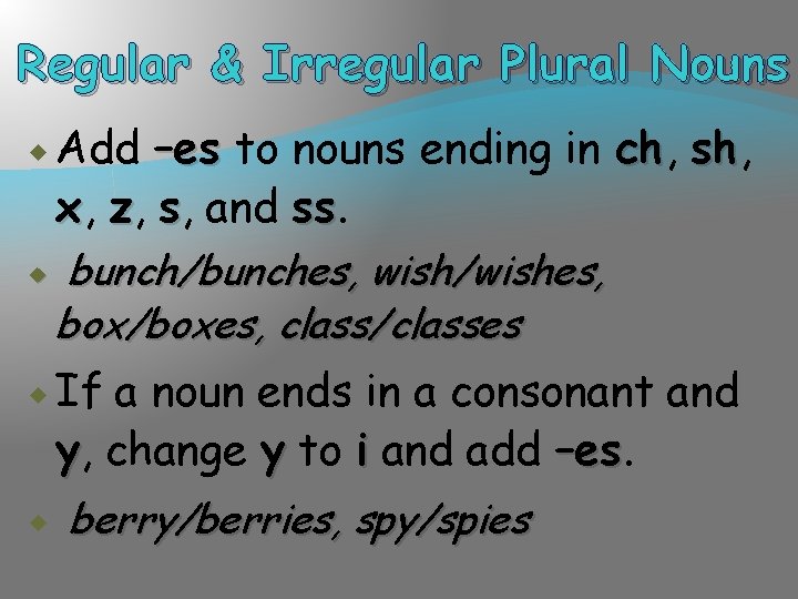 Regular & Irregular Plural Nouns Add –es to nouns ending in ch, ch sh,